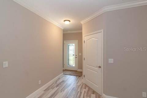16200 Lenord Street, Umatilla FL - photo 17 of 20