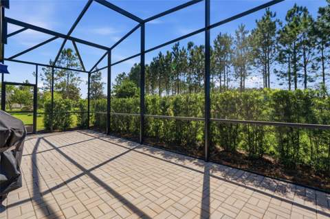 112 Castellon Court, Davenport FL - photo 9 of 71