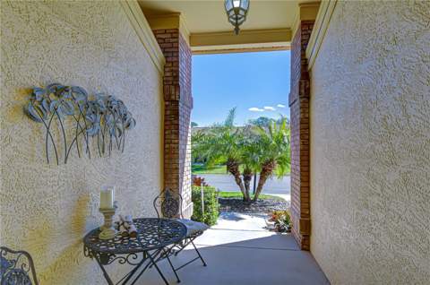 6543 Pine Walk Drive, New Port Richey FL - photo 6 of 43