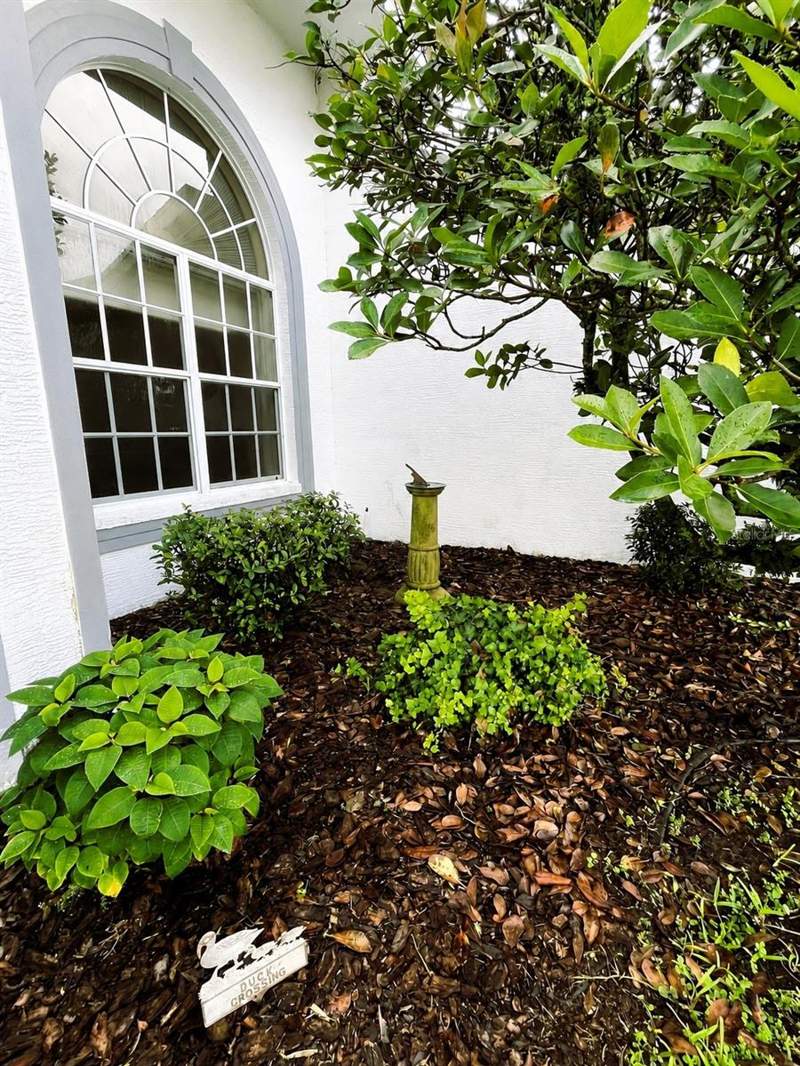 3 bedroom Single Family Residence at 6513 Cardinal Crest Drive, Timber Greens Ph 05, New Port Richey — photo 5