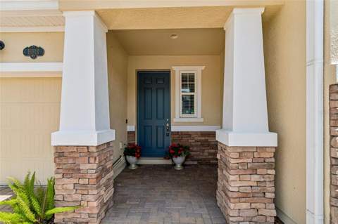 18843 Ulmus Street, Lutz FL - photo 6 of 6