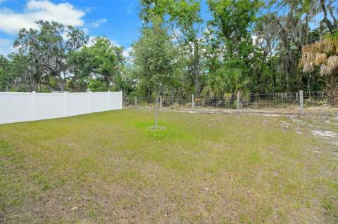 30112 Armenia Road, Leesburg FL - photo 7 of 27