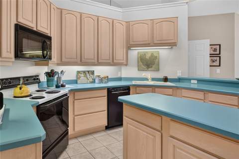9211 Silver Lake Drive, Leesburg FL - photo 10 of 50