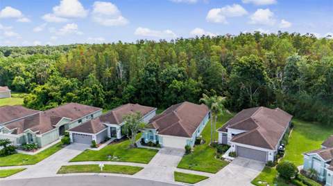 5526 Gallant Fox Court, Wesley Chapel FL - photo 22 of 28