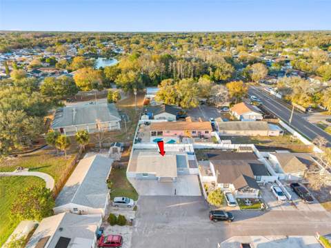 10113 Royal Acres Court, Tampa FL - photo 11 of 35