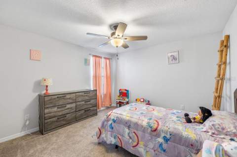3703 Globe Thistle Drive, Tampa FL - photo 19 of 37