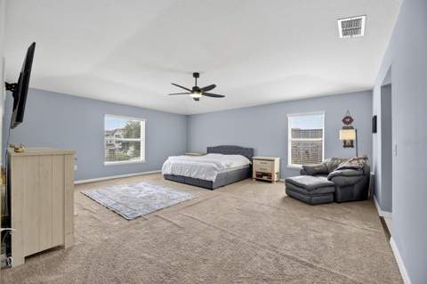 13531 Mango Bay Drive, Riverview FL - photo 23 of 57