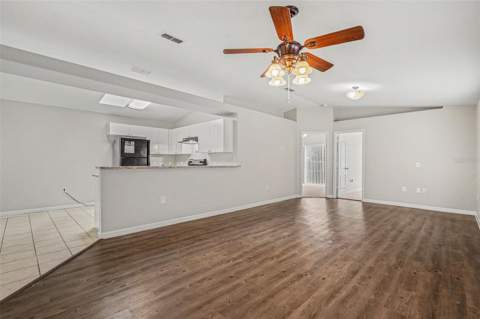 23110 Dover Drive, Land O Lakes FL - photo 7 of 18
