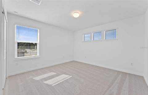 13630 Brookside Haven Street, Riverview FL - photo 20 of 35