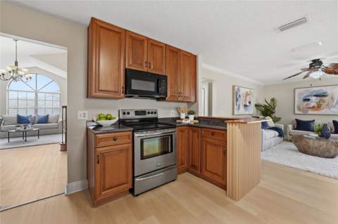 1437 Mona Drive, Kissimmee FL - photo 8 of 42