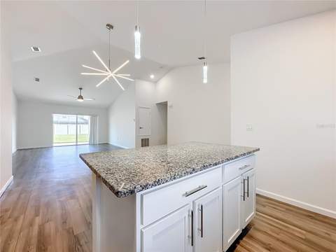 240 Bird Of Paradise Drive, Palm Coast FL - photo 7 of 39