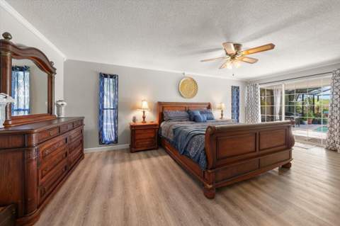 2126 Egret Drive, Clearwater FL - photo 12 of 44