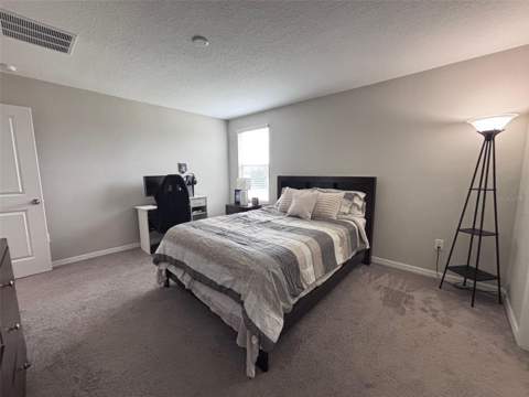 405 Serenity Mill Loop, Ruskin FL - photo 17 of 50