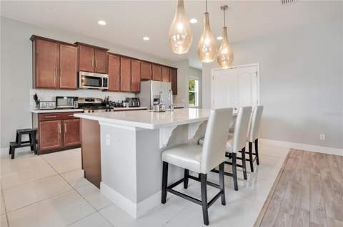 1321 Wildcat Lane, Minneola FL - photo 8 of 54