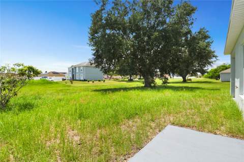 179 Aurelia Court, Kissimmee FL - photo 23 of 25