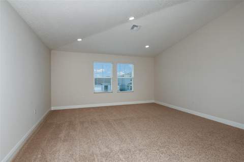 31717 Bienville Lane, Wesley Chapel FL - photo 19 of 31