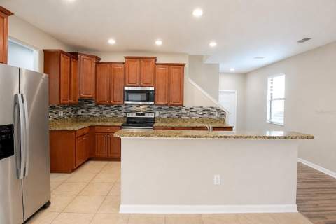 20028 Satin Leaf Avenue, Tampa FL - photo 6 of 6