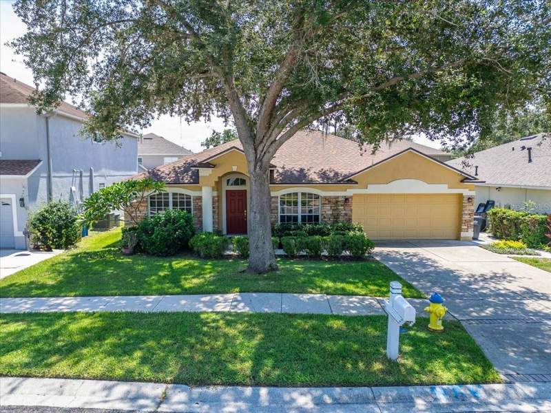 Lake June EstatesHomes for Sale in Brandon, FL