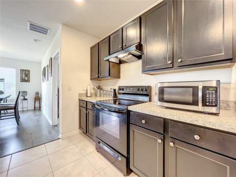10547 Burlwood Drive, Leesburg FL - photo 15 of 48