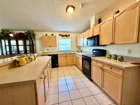2319 Lily Pad Lane, Kissimmee FL - photo 9 of 36