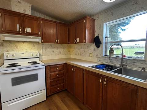 8535 23rd Street, Zephyrhills FL - photo 12 of 39