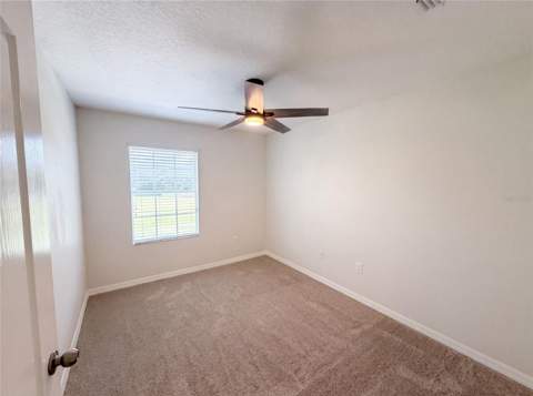 13717 Rosette Road, Hudson FL - photo 15 of 31