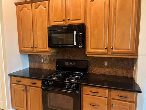 119 Falling Acorn Avenue, Groveland FL - photo 6 of 25
