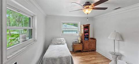3087 Duane Avenue, Oldsmar FL - photo 13 of 30