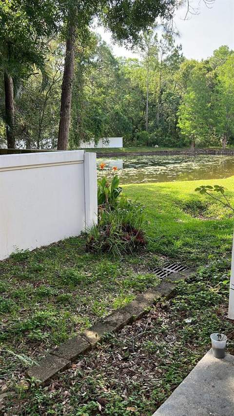 8423 Edgewater Place Boulevard, Tampa FL - photo 20 of 21