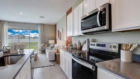 11157 Treasure Swale Way, Land O Lakes FL - photo 10 of 19