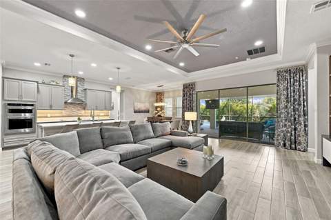 16909 Clear Cork Drive, Wimauma FL - photo 9 of 77