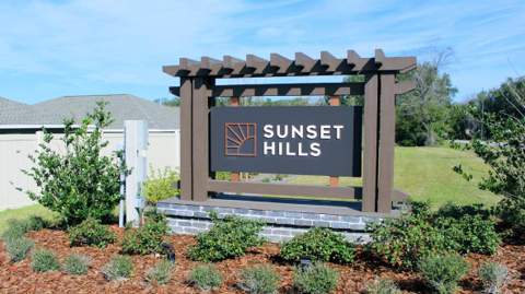 10197 SE 158th Lane, Summerfield FL - photo 20 of 20