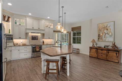 4202 N Pony Drive, Beverly Hills FL - photo 9 of 66