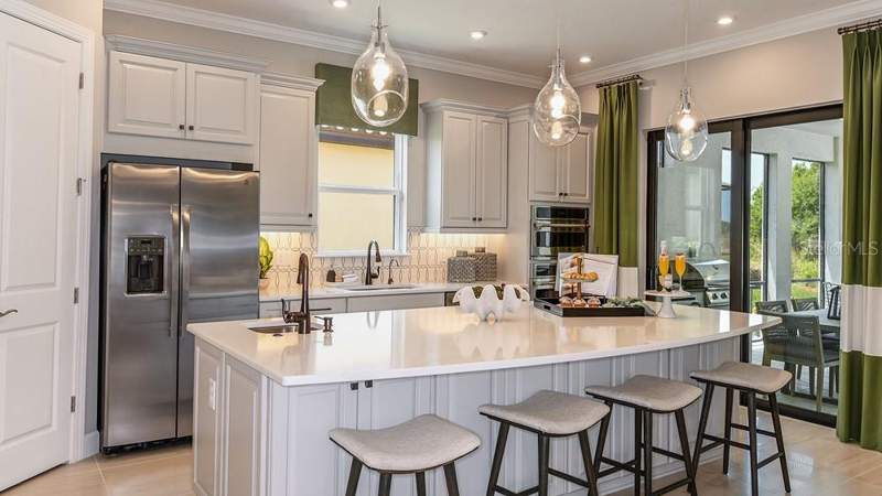 3 bedroom Single Family Residence at 29668 Imperati Boulevard, Esplanade At Wiregrass Ranch, Wesley Chapel — photo 2
