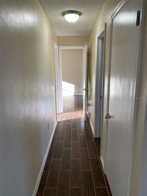 803 Haselton Street, Eustis FL - photo 6 of 6