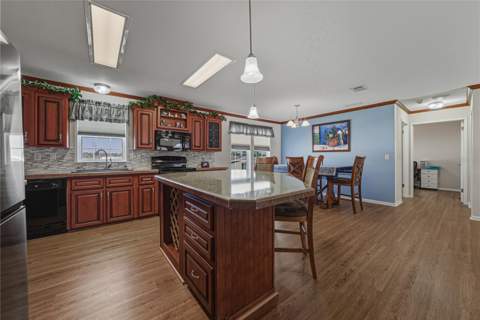 37519 Corey Lewis Avenue, Zephyrhills FL - photo 19 of 49