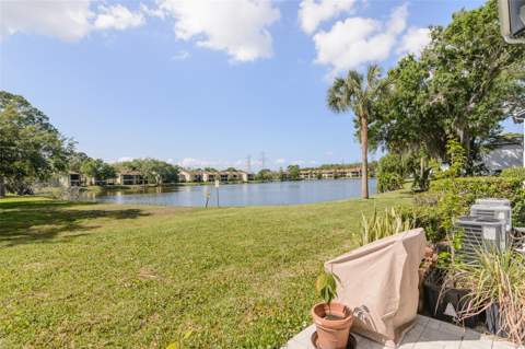207 Cypress Lane, Oldsmar FL - photo 19 of 25