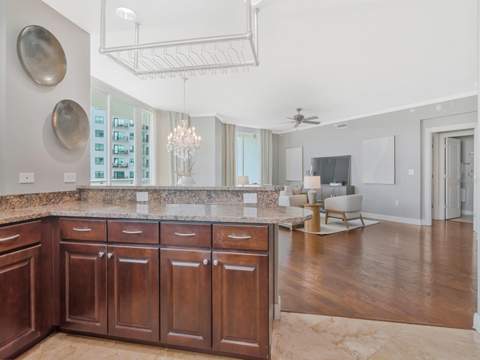 450 Knights Run Avenue #1501, Tampa FL - photo 16 of 99
