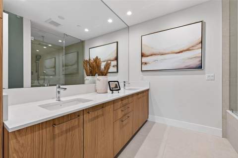 275 1st Ave S #2706, St Petersburg FL - photo 7 of 63