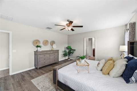 6342 Cobble Bliss Street, Zephyrhills FL - photo 22 of 49