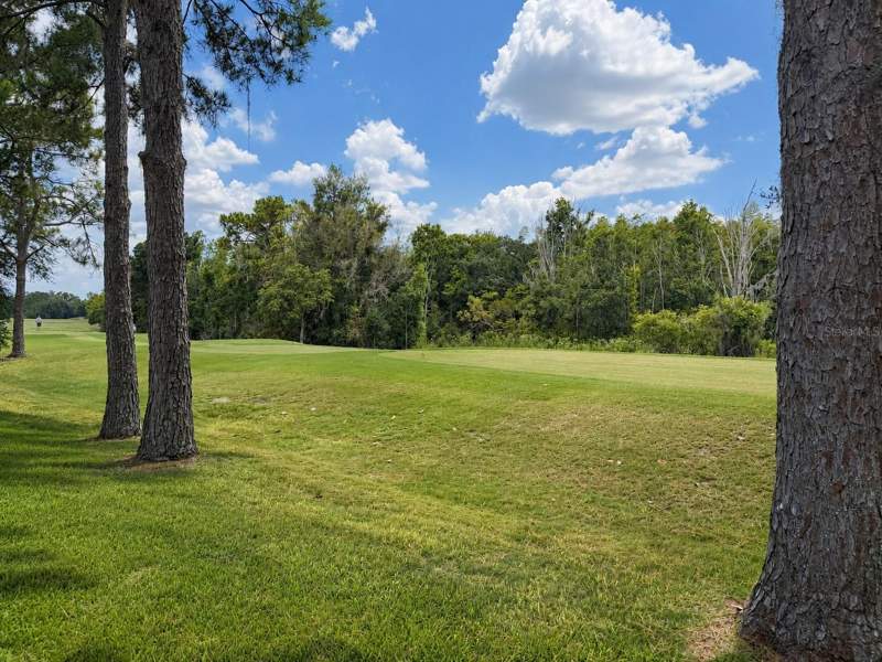 5 bedroom Single Family Residence at 17422 Heather Oaks Place, Hunters Green, Tampa — photo 3