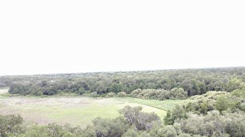 1016 Lakeside Dr. Drive, Apopka FL - photo 12 of 64