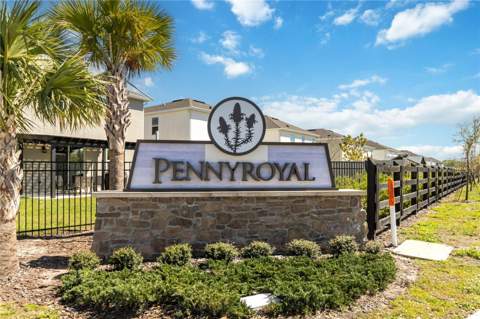 1772 Stamen Drive, Kissimmee FL - photo 23 of 28