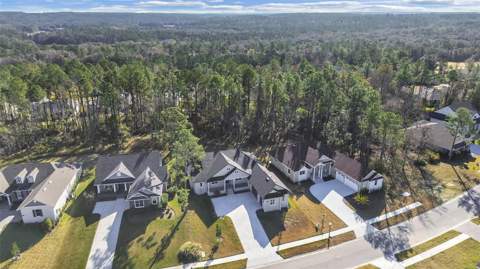 4507 Majestic Hill Loop, Brooksville FL - photo 7 of 49