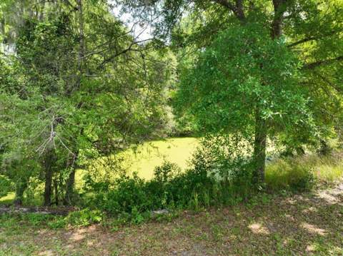 1415 N Wabash Avenue, Lakeland FL - photo 7 of 17