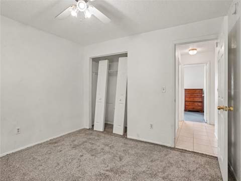 6655 Merle Street, Bradley FL - photo 10 of 21
