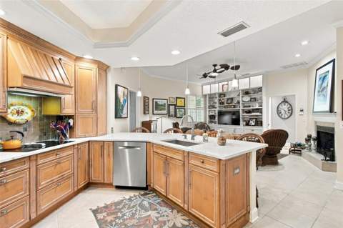 435 Date Palm Court, St Petersburg FL - photo 17 of 52