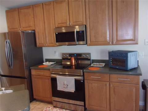 1519 Lalique Lane, Orlando FL - photo 15 of 27