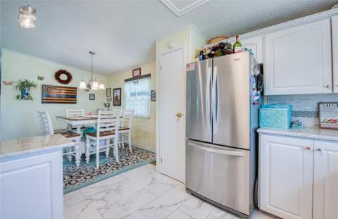 214 Dolphin Drive, Oldsmar FL - photo 7 of 46