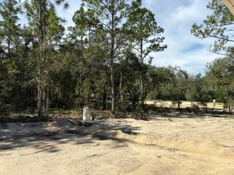 12188 SW 81st Street, Dunnellon FL - photo 18 of 20